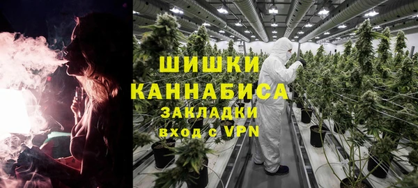 2c-b Заводоуковск