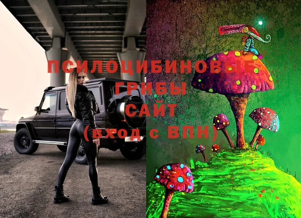 стаф Заволжье