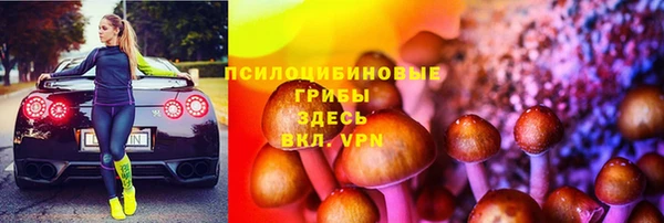 2c-b Заводоуковск